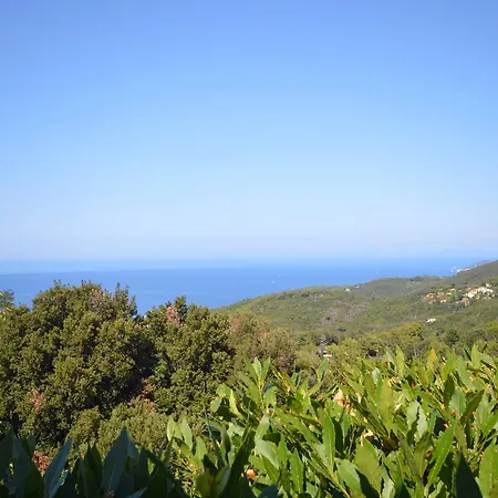 Casetta Nel Bosco Marciana (Isola d'Elba)
